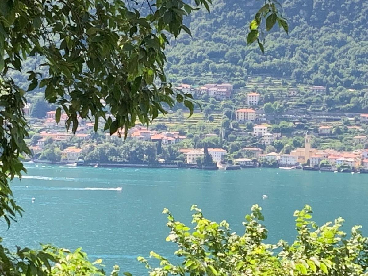 Apartment Casa Dono Il Lago Pognana Lario Exterior photo